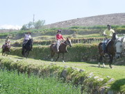 Horse Riding Arequipa